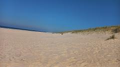 Sylt (122)